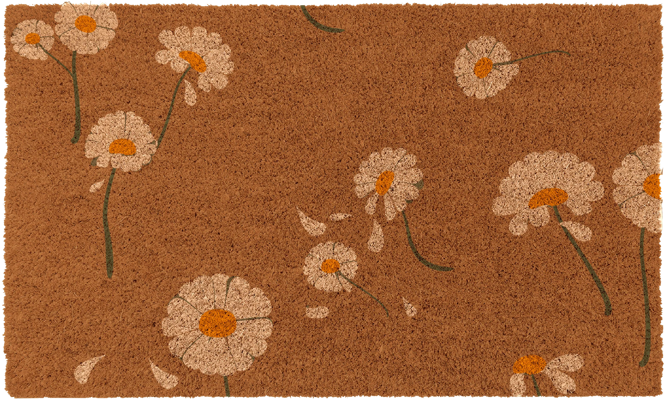 Daisy Flowers