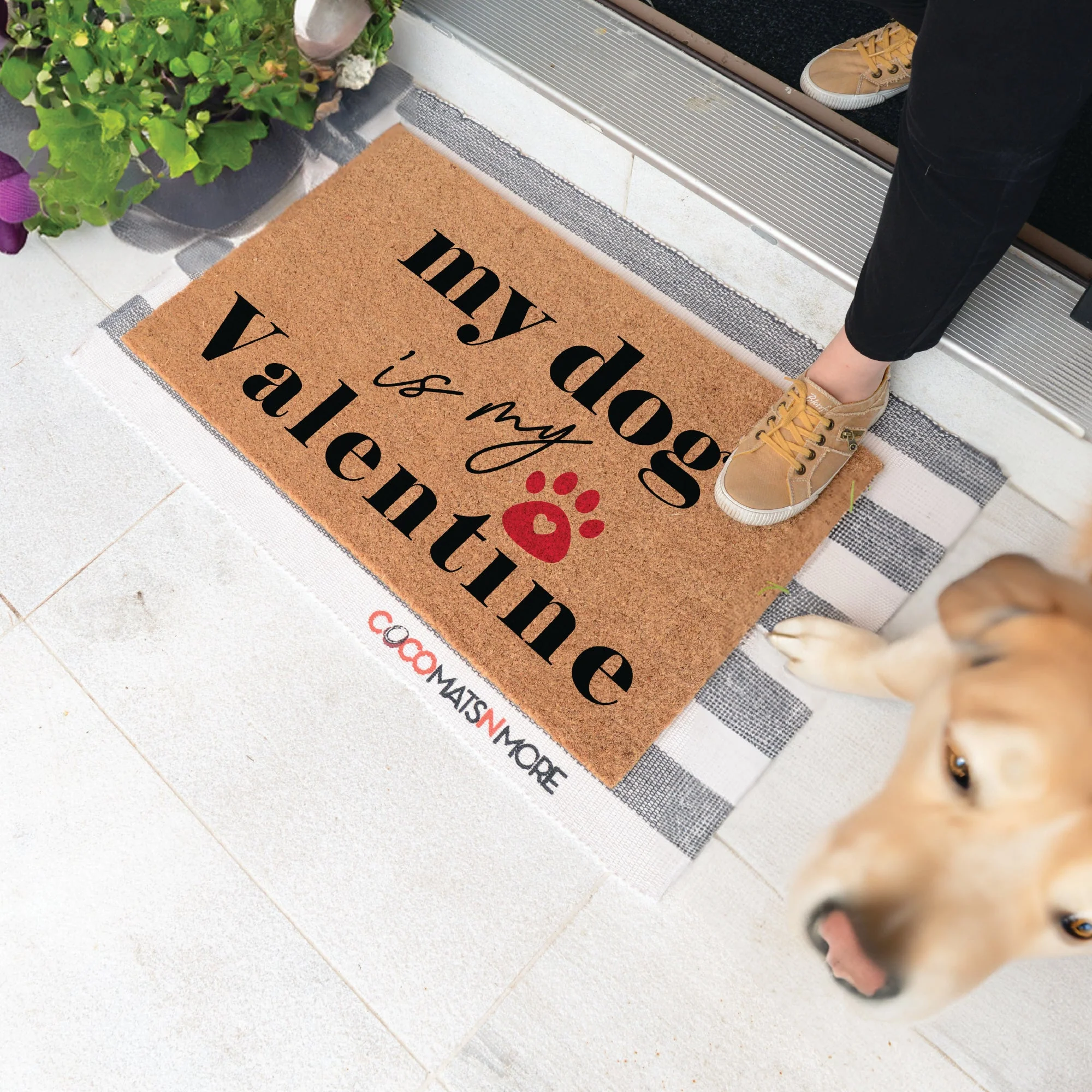 Dog Valentine - Image 2