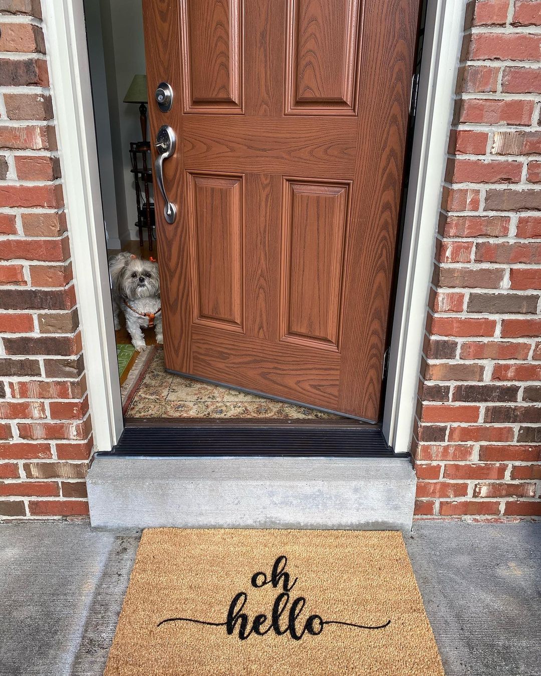 Oh Hello - Image 12